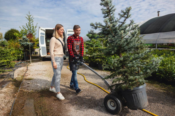 How Our Tree Care Process Works  in  Manhasset, NY